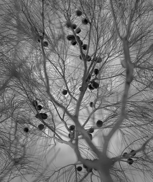 Christopher Houghton: Time and Place 